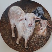 Lammetjes-olieverf-op-doek-50cm