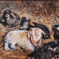 Little-lambs-oil-on-panel-24x18cm