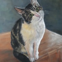 Please-pastel-op-paneel-40-x-50-cm