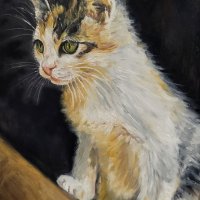 Nieuwsgierig-olieverf-op-paneel-20-x-30-cm