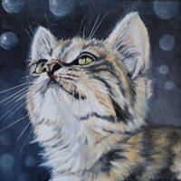 Pak-me-dan-olieverf-op-paneel-20-x-20-cm