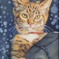 kat-olieverf-op-paneel-13-x-18-cm