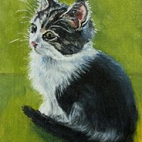 Poes, olieverf op doek, 8x6cm