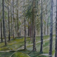 Zweeds bos, aquarel op papier, 75x60cm