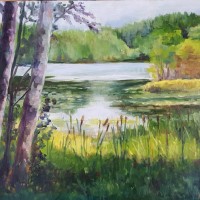 Lake lille grasken, olieverf op paneel, 30x40cm