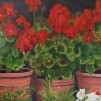 Geraniums, olieverf op paneel, 30x40cm